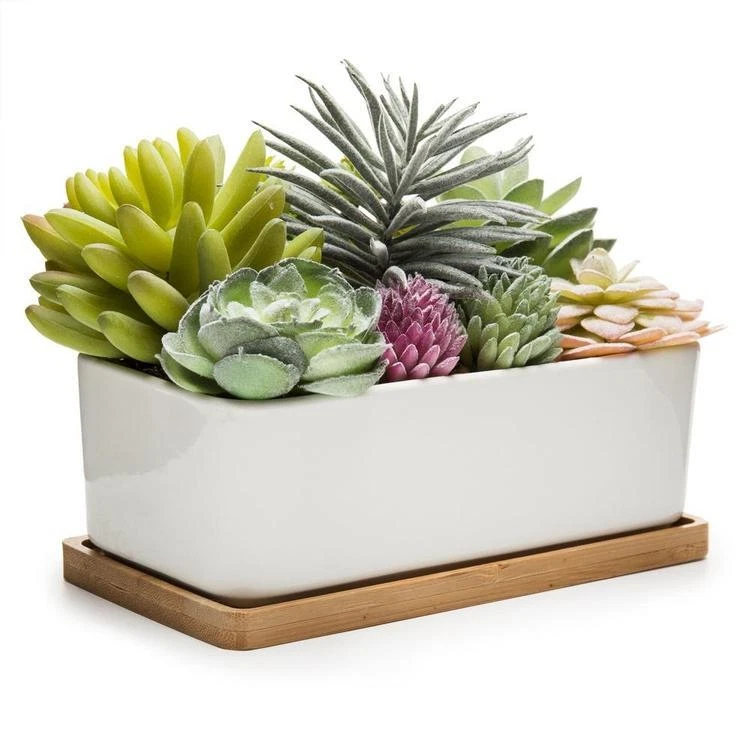 Potted Realistic Artificial Succulents in Ceramic Pot Planter with Bamboo Tray - Image 4 of 4
