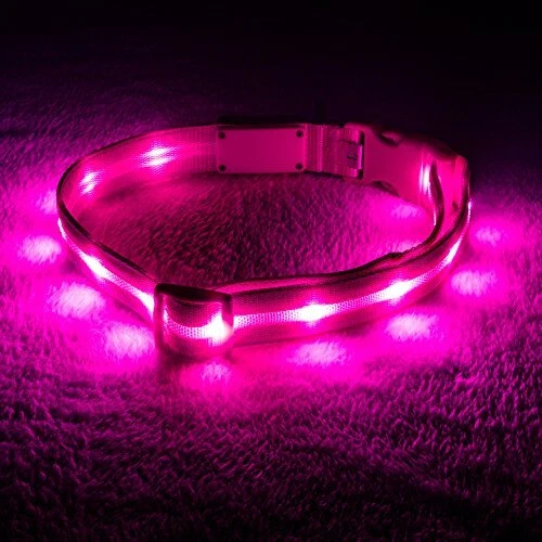 Blazin Safety LED Dog Collar USB Rechargeable with Water