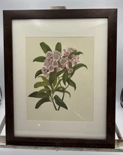 Vintage Mountain Laurel Floral Print Framed Matted Cottage Garden 15.5x12.5