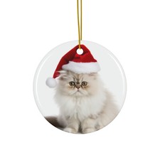 Persian Cat - Ceramic Christmas Ornament - Printed in USA