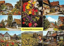 B34268 Schwarzwald Blak Forest   germany