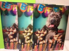 BIRTHDAY AVANTI GREETING CARDS New w/Envelopes 3D-LOT 3 LENTICULAR "fire hazard"