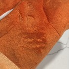 Foto 11 di 14