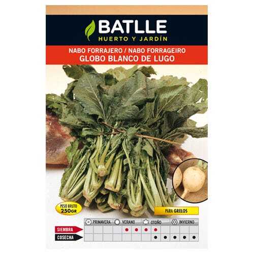 Batlle Gartenbau Samen - Rübenfutter mit weißem Globus von Lugo (250g) - Bild 5 von 5