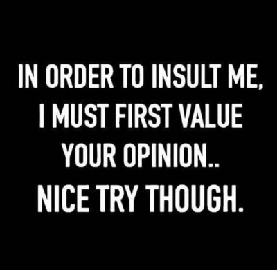 In Order To Insult Me I Must First Value Your Opinion Nice Try Though MAGNET