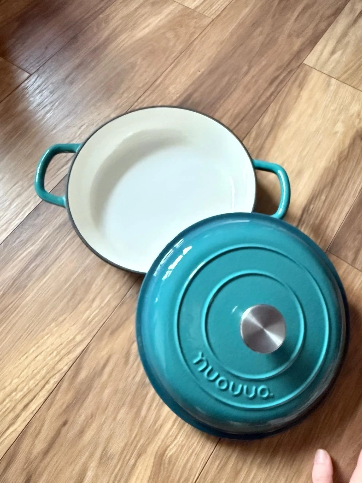 Nuovva 2L Cast Iron Dutch Oven with Lid Non-Stick Enamel Casserole 10 Inch Teal