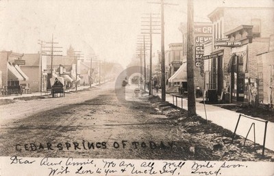 Street View Cedar Springs of Today MI Michigan 1907 RPPC Photo Postcard COPY