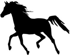 Aufkleber Pferd Pferdeaufkleber Aufkleber Pferdehänger sticker Araber #02