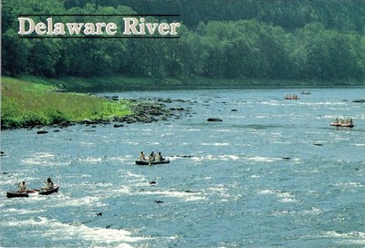 Delaware River Canoeing Rafting Postcard 1980s Pendor Natural Color Unused