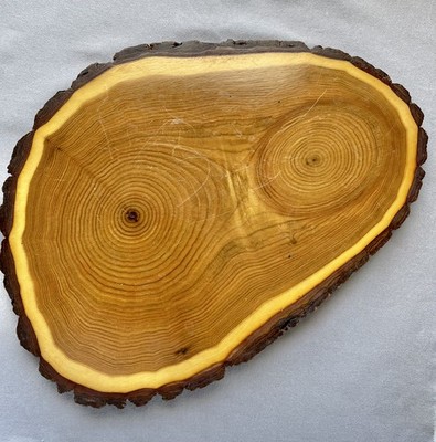 Butternut Wood End Grain Live Edge Cutting/Serving Board Signed Boards by Joel 