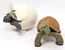 Safari Ltd 2005 Galapagos Tortoise Hatchling & Giant Tortoise 3" PVC Plastic Toy