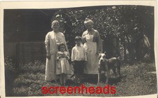 C1901-07 RPPC PHOTO "English PIT BULL DOG Studded Collar" VG