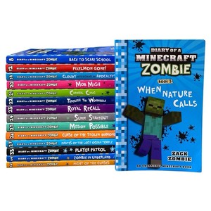 Diary of a Minecraft Zombie Set | eBay