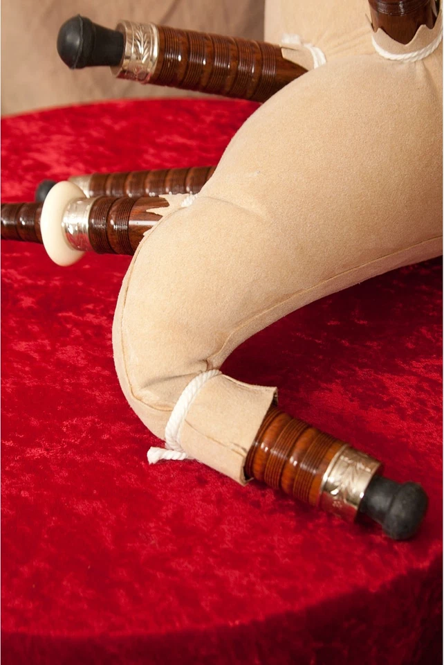 JUEGO DE GAITAS TAMAÑO COMPLETO, FUNDA TARTÁN, NÍQUEL GRABADO, BOLSA REXINE Foto 3 de 4