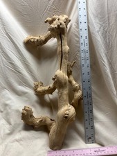 Sandblasted California Grapewood Branch- 18 Inch-Many Uses for Decor- LOT B