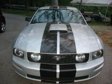 10 Wide Racing Rally Stripe Stripes Decal Decals Fits Ford Mustang Saleen Gt 10 Wide Racing Rally Stripe Stripes Decal Decals Fits Ford Mustang Saleen Gt