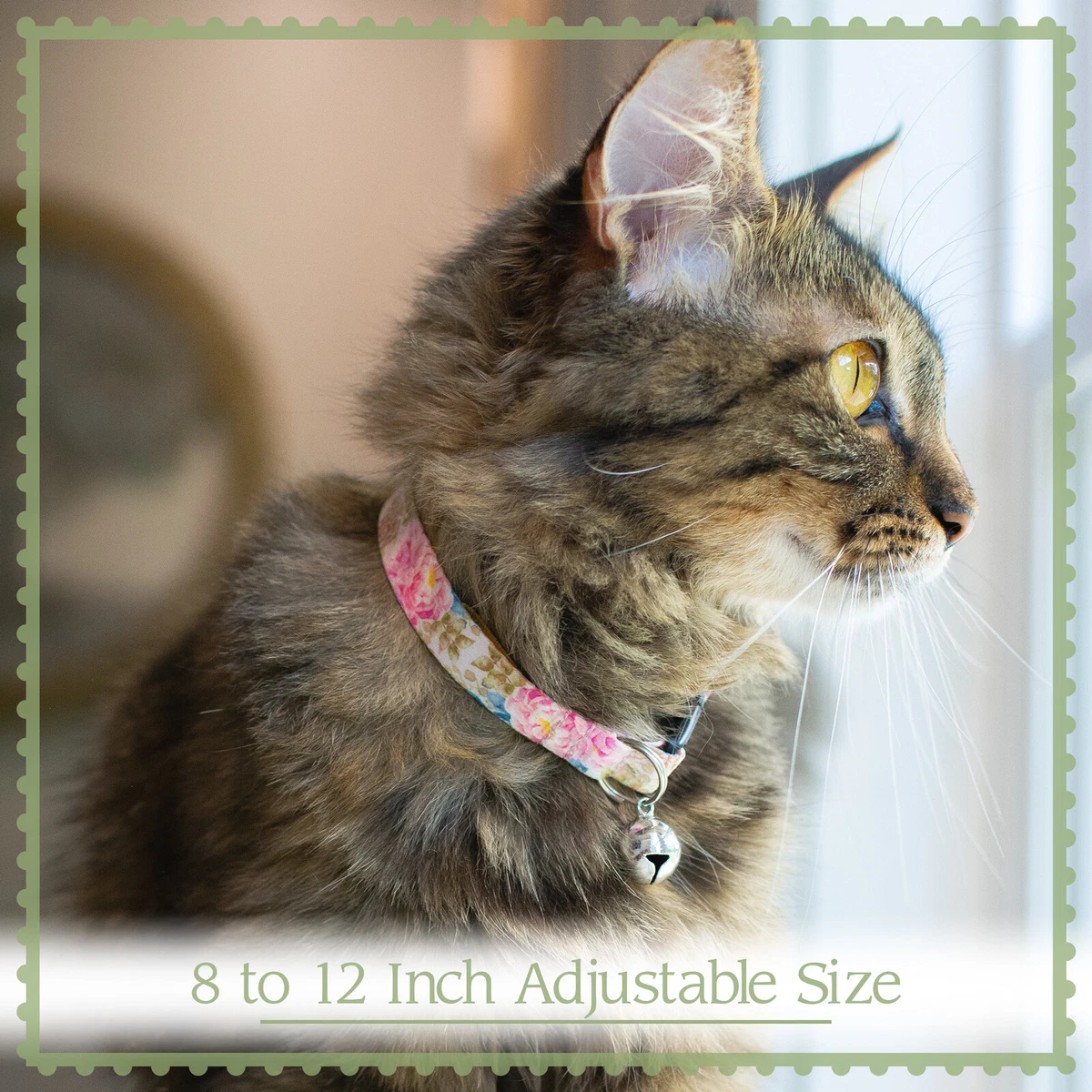 Leopard cat collar 2025