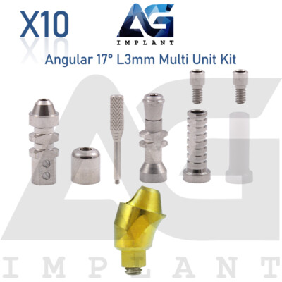 10 Angular Multi Unit Abutmnt 17° Kit Dental Fixture Int Hex Titanium 3mm