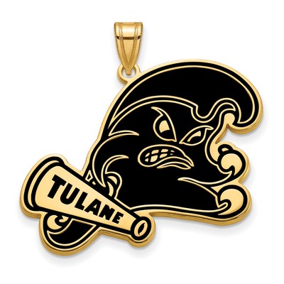 Anhänger Sterlingsilber vergoldet LogoArt Tulane University Extra LG emailliert