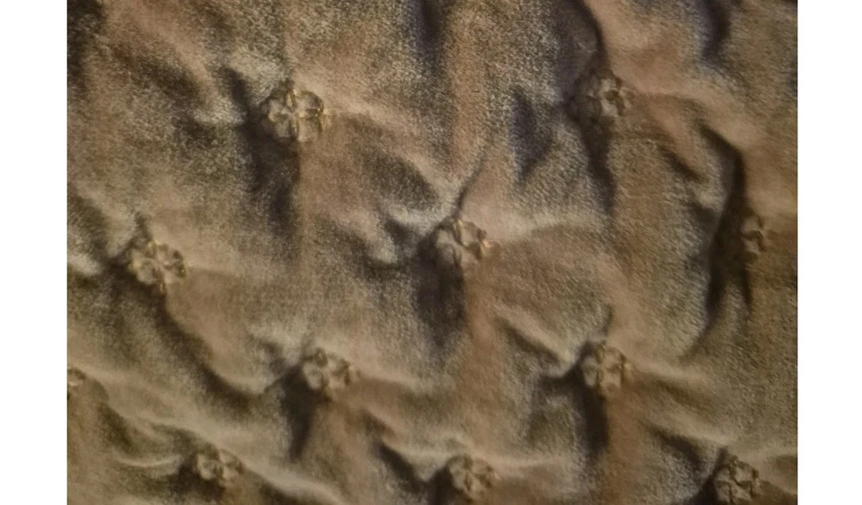 FRONTGATE Rumi Velvet KING Rumi Velvet Quilt 100% Cotton BLUSH EUC - Image 3 of 4