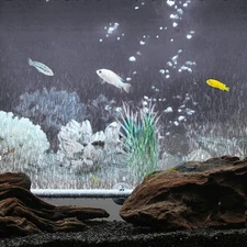 Fish Tank Air Bubble Aeration Tube Oxygen Pump Wall Air Diffuser For NY