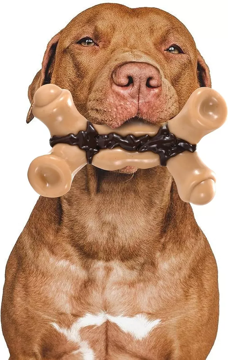 Indestructible Dog Chew Toys For