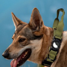 GPS Dog Collar With Handle For Walking Your Pet.