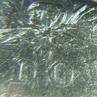 1900 O/CC Morgan "XF+"🛑🛑Top 100, SCARCE/C-Pics & 40X MAGNIFICATION/ 🫵JUDGE💥✅ — photo 7