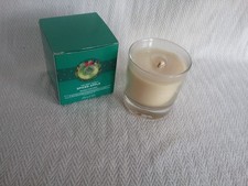 The Body Shop Limited Edition Christmas Spiced Apple Scented Candle 200g