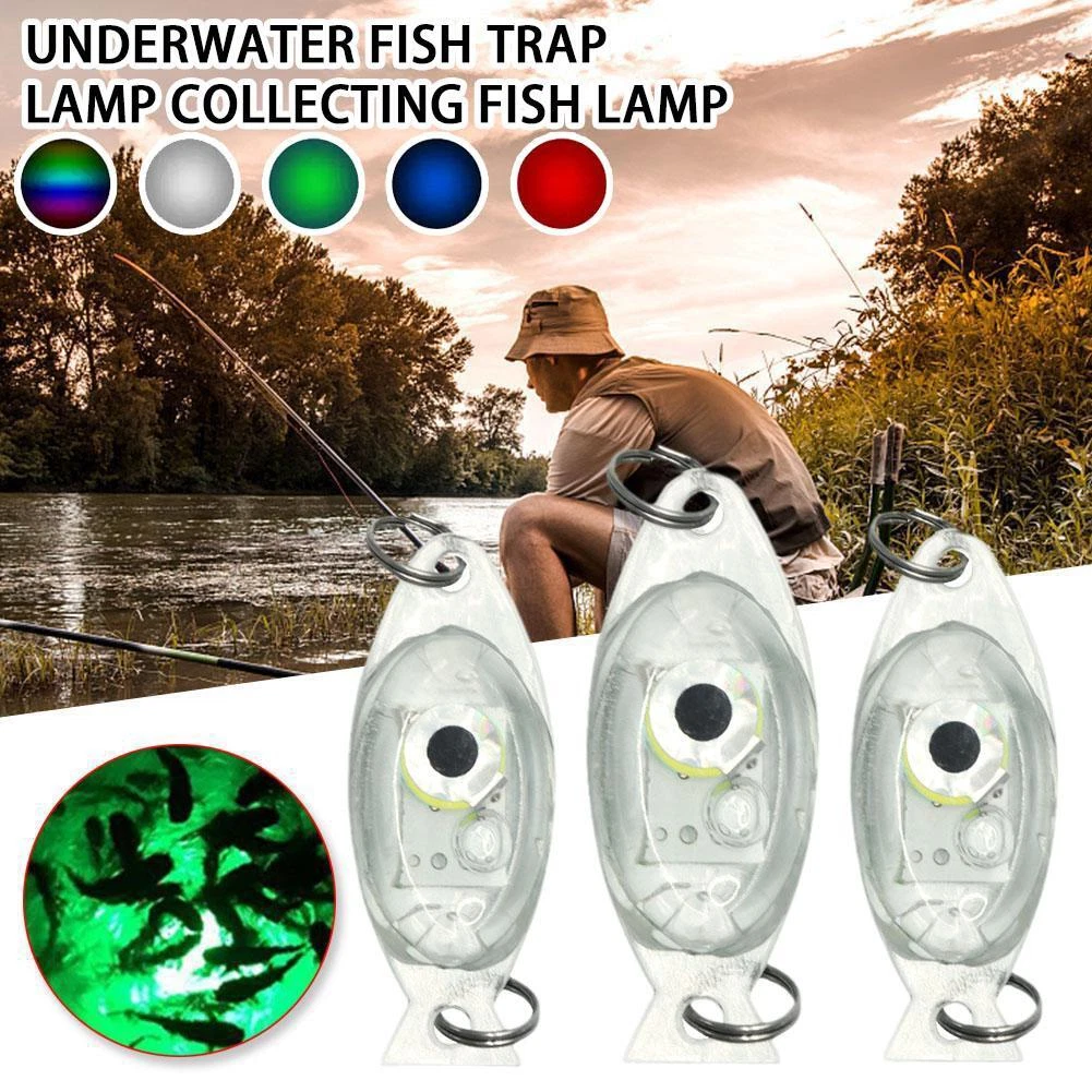 Fish trap light deals