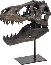 JOTNBOBO Statua del cranio del dinosauro
