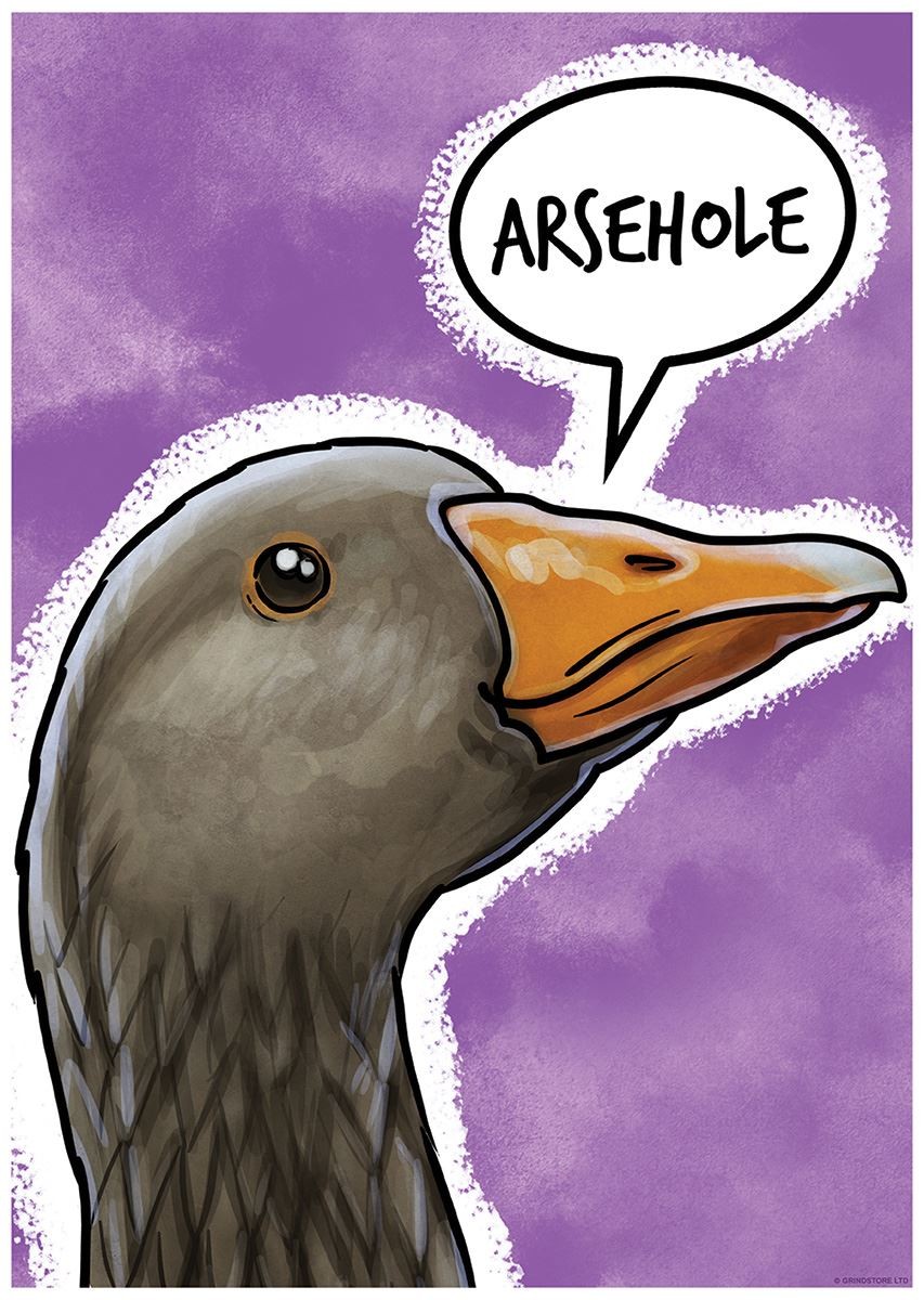 Laminated Cute But Abusive Arsehole Mini Poster