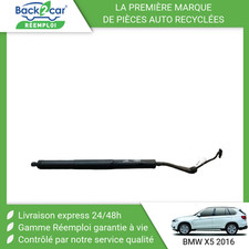 Verin de hayon / de capot BMW X5