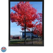 8x10 Picture Frame for Wall Black, Display Pictures 8x10 Document Certificate...