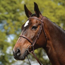 Premium Leather English Horse Bridle with Tack Set Available all Sizes