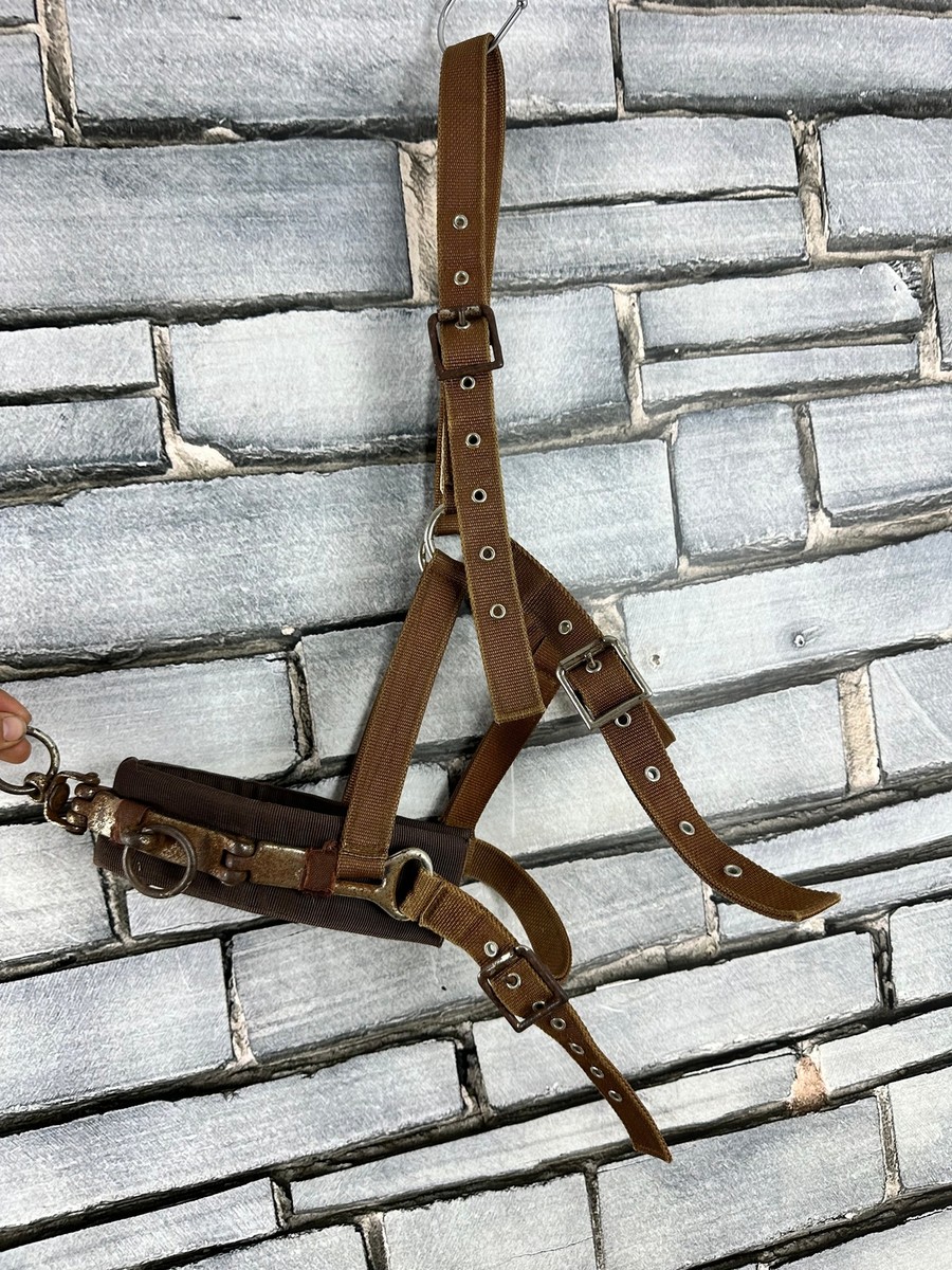 Licol De Travail Vintage Cottage Craft épi, Taille Réelle, Pour Cheval, équitation
