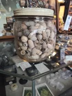 Civil War Bullets Collected Murfreesboro 300+ bullets 5 Varieties WHOLE COLLECT