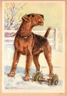 Vintage Airedale Terrier Print Robert Scholz Dog Wall Art Illustration 6551n