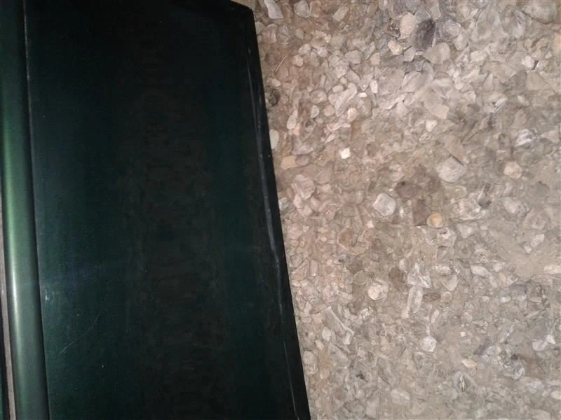 (LOCAL PICKUP ONLY) Passenger Right Front Door Electric Fits 93-02 CAMARO 48694 Foto 4 de 4