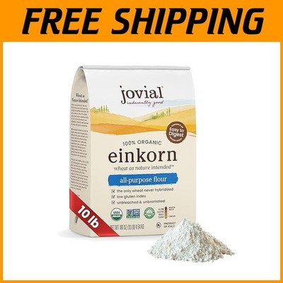 Authentic Organic Einkorn Flour - European Italian Grain