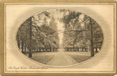 Marlborough Wiltshire The Eight Walks, Savernake Forest England OLD PHOTO