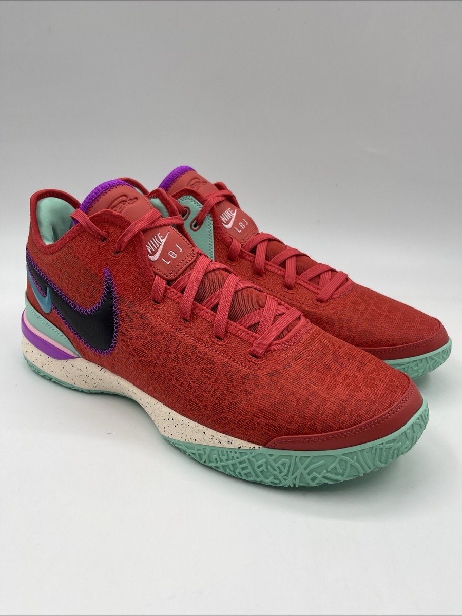 新品 ZOOM LEBRON NXXT GEN EP 赤 24cm LeBron NXXT Gen EP Basketball Shoes. Nike JP