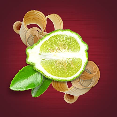 Health and Beauty Skin Cleaning Agent 3.17 Ounce Pack of 4