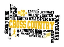 Cross Country Words Vinyl Decal Sticker - Car Truck Van SUV Window Wall Cup