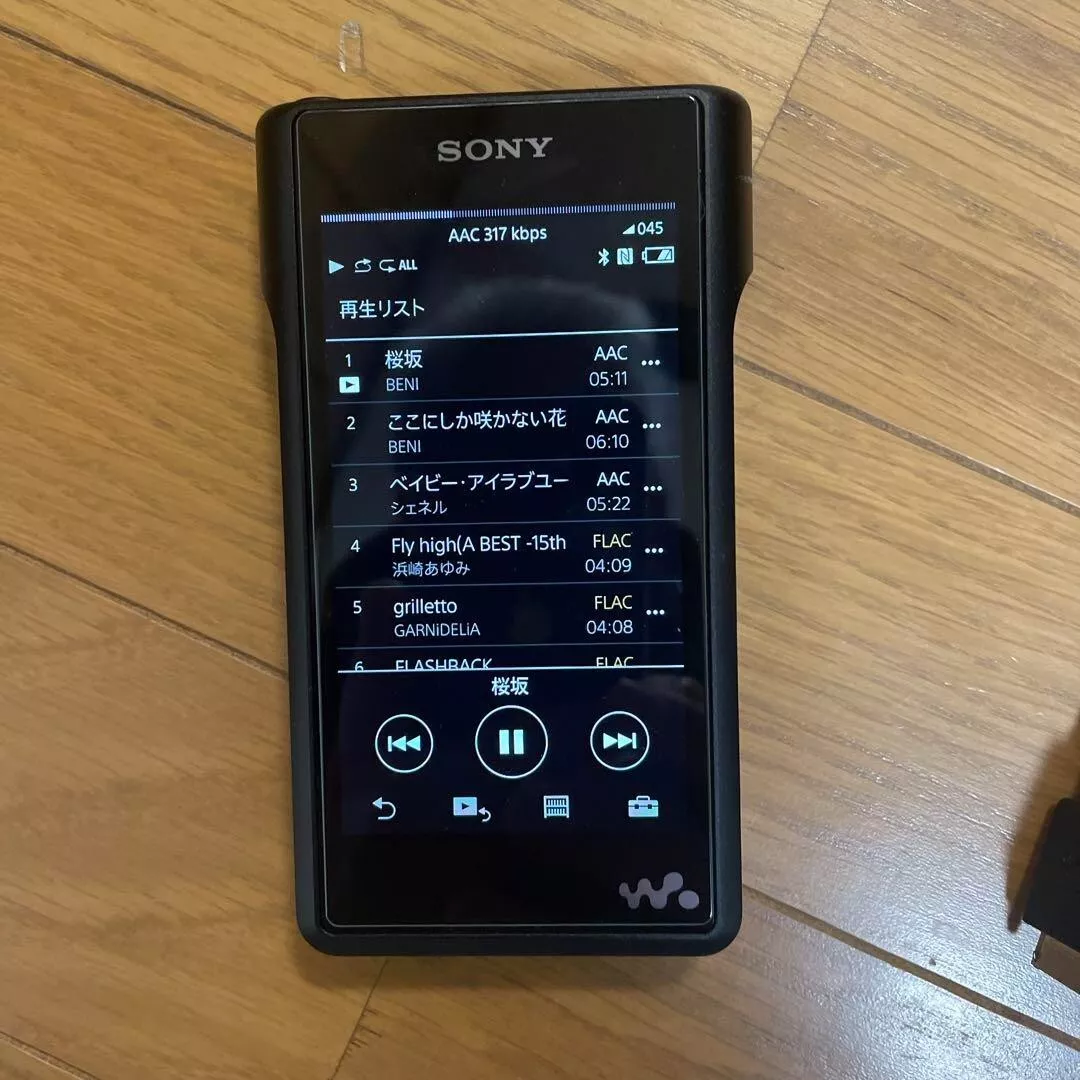 SONY WALKMAN WM1 Series NW-WM1A Black Digital Audio Player Used