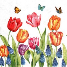 2 Two Paper Lunch Napkins for Decoupage/Mixed Media - Tulips Muscari