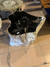 Petrified Wood - Beistelltische - Hocker