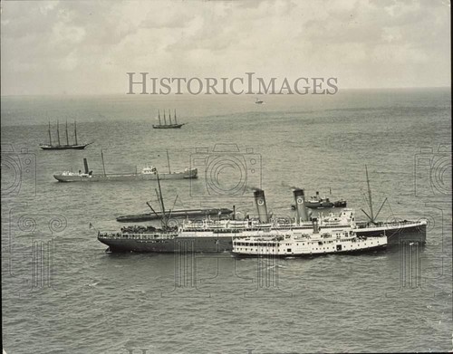 1925 Press Photo SS Alexander and other boats wait to unload in Miami ...