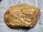 Lot Of 3 Brecciated Jasper Red Green Yellow Orange 5+ lbs Rough — photo 7