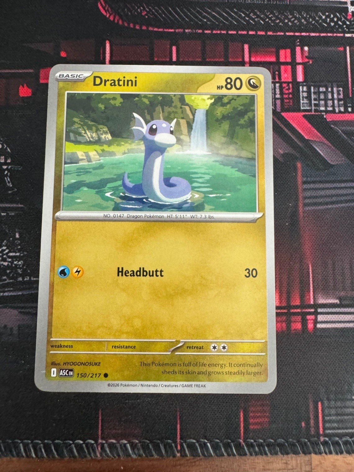 Dratini Common ME: Ascended Heroes 150/217 NM